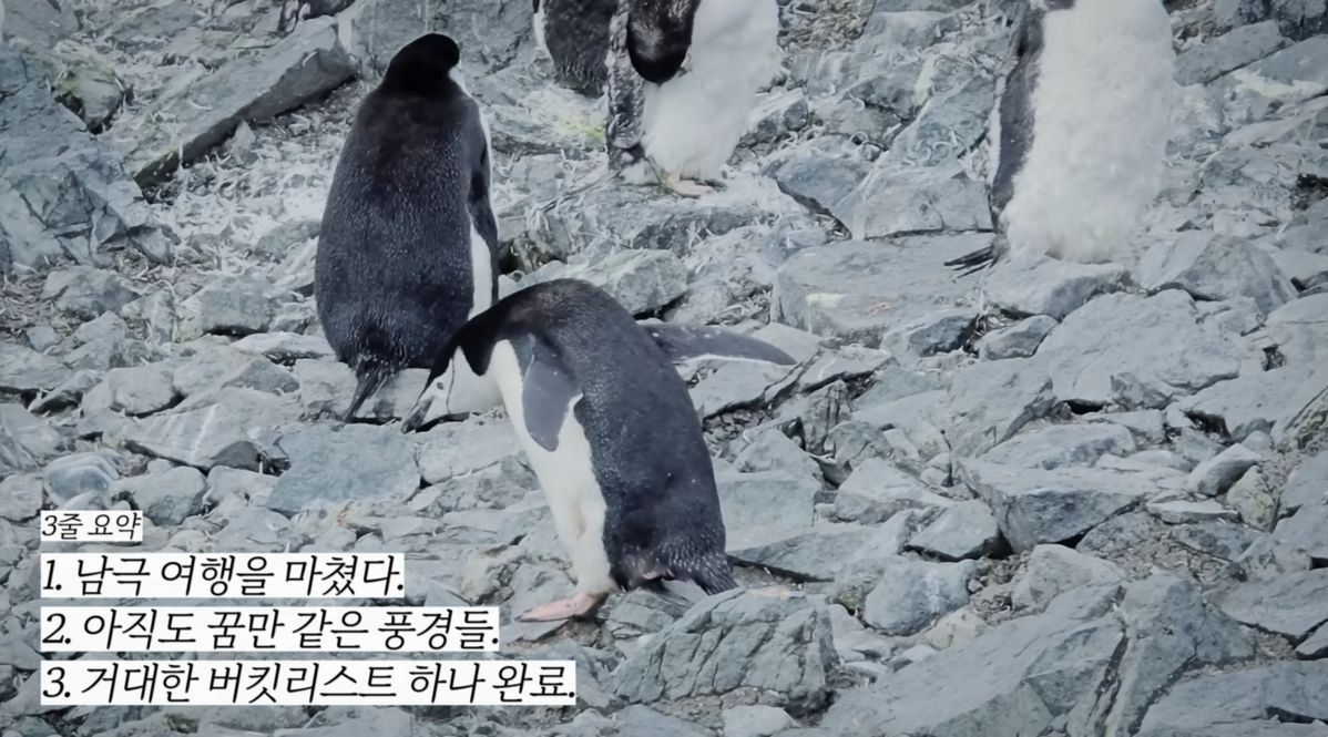 유튜브 <빠니보틀 Pani Bottle>