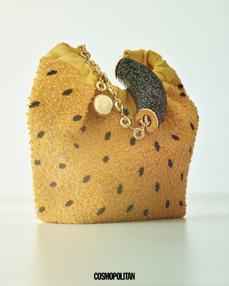 미니 백 가격미정 Loewe. 