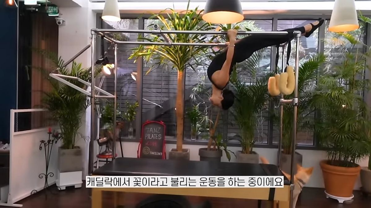 유튜브 <엄정화TV>