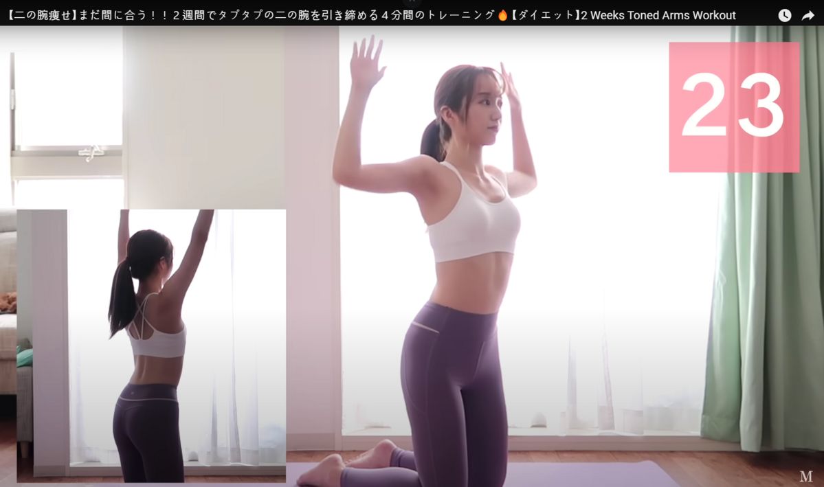 유튜브 <Momomi>