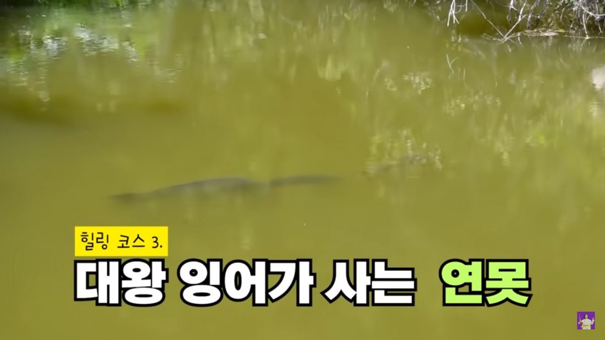 유튜브 <김숙티비kimsookTV>