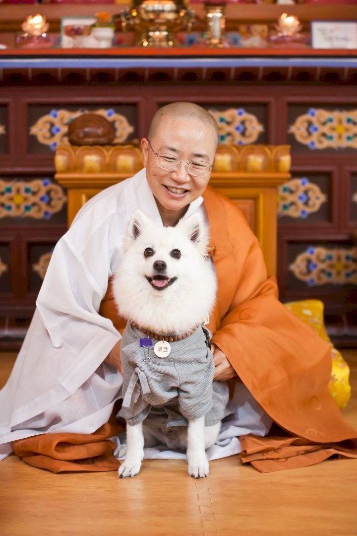반려생활 홈페이지