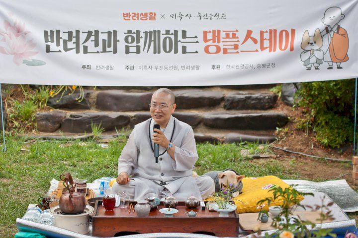 반려생활 홈페이지
