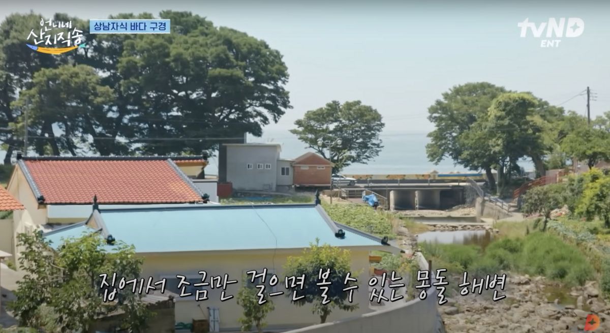 유튜브 <디글 :Diggle>