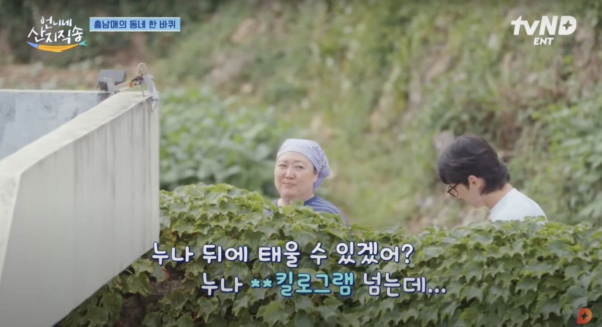 유튜브 <디글 :Diggle>