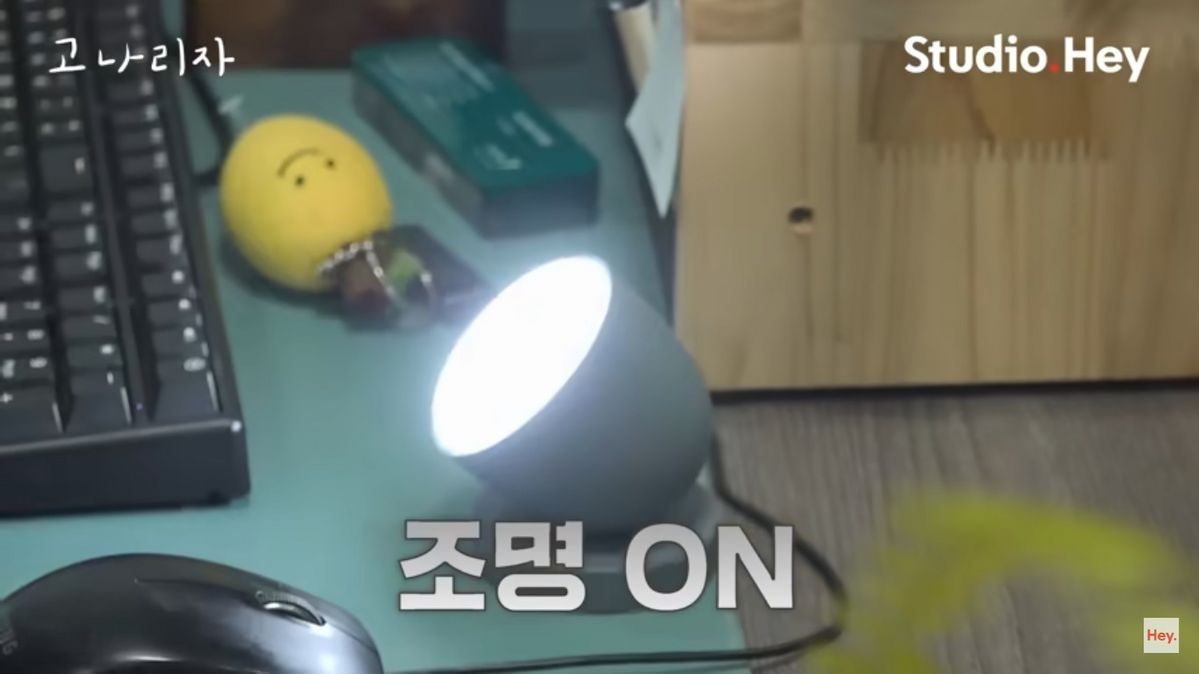 유튜브 <고나리자>