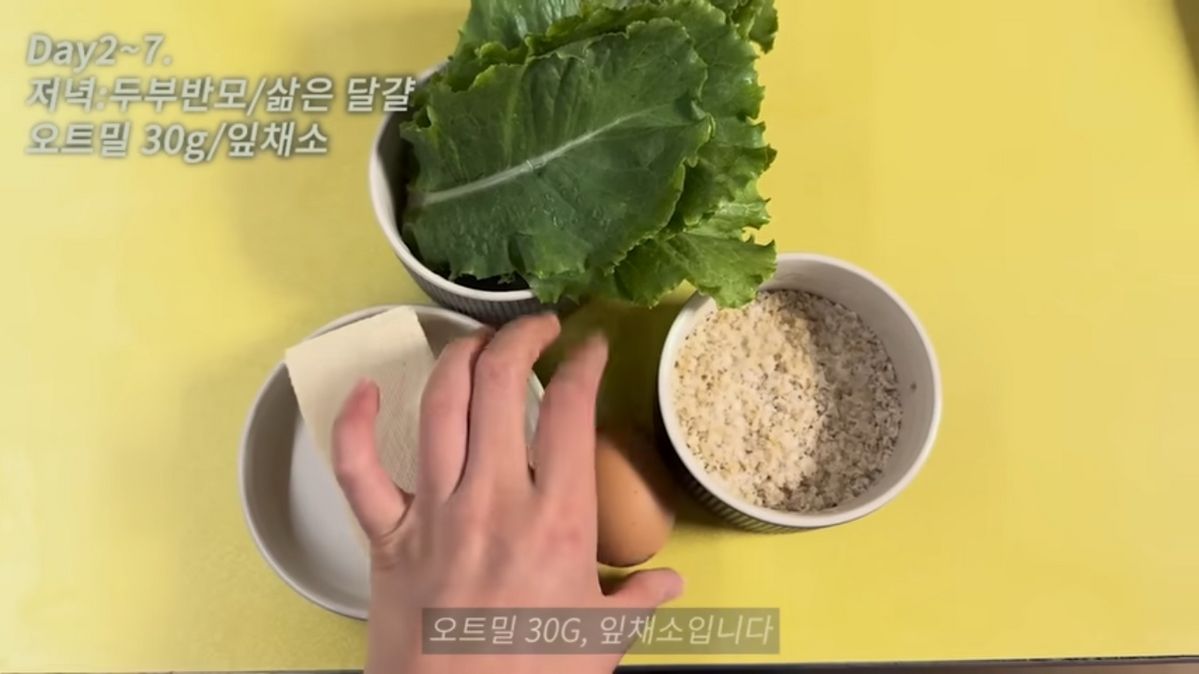 유튜브 <퀸와사비> 