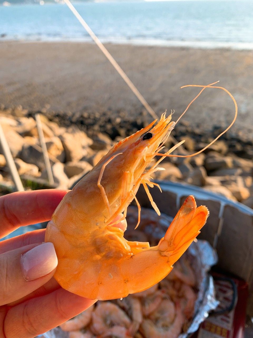 해운정양식장