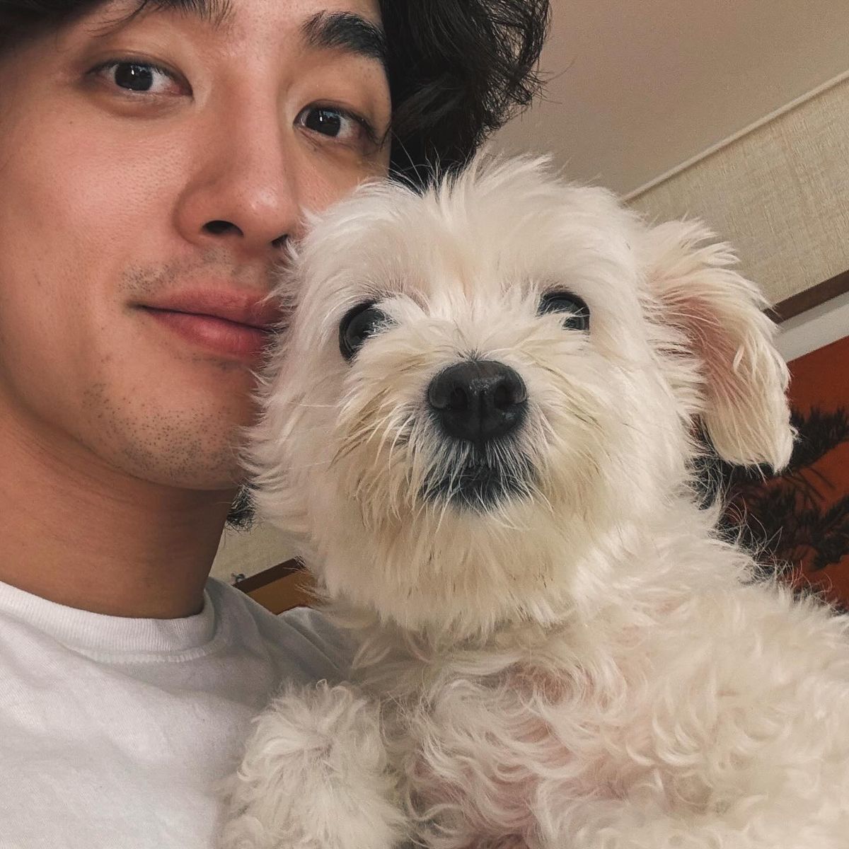 인스타그램 @jannabijh