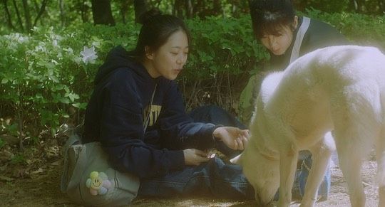 인스타그램 @cholluu