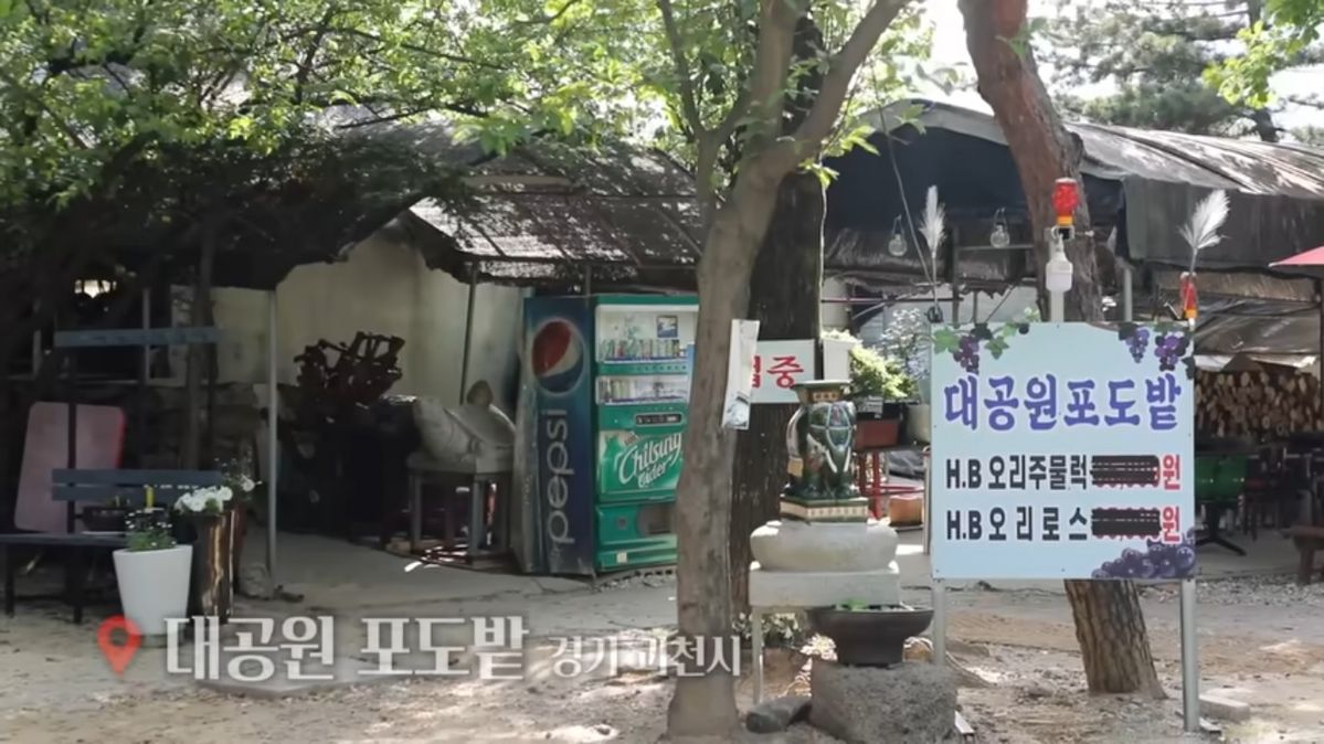 유튜브 <쯔양>