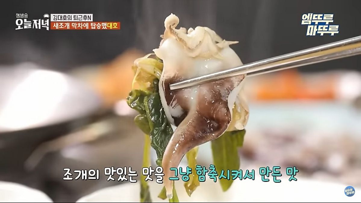 MBC <오늘N>