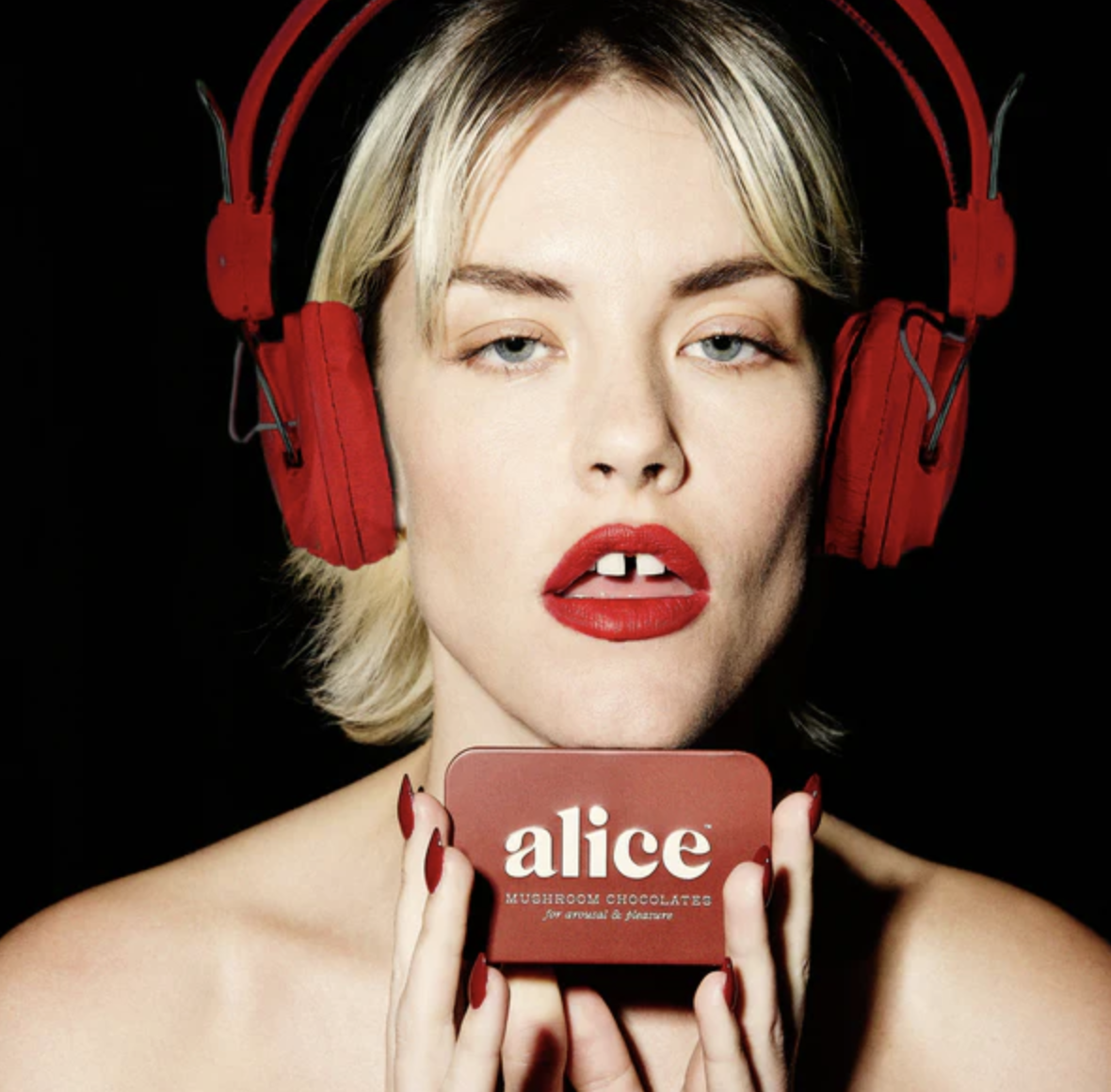 Alice Mushrooms 홈페이지