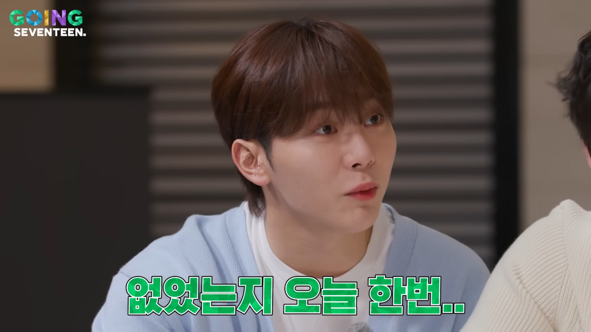 유튜브 <고잉세븐틴>