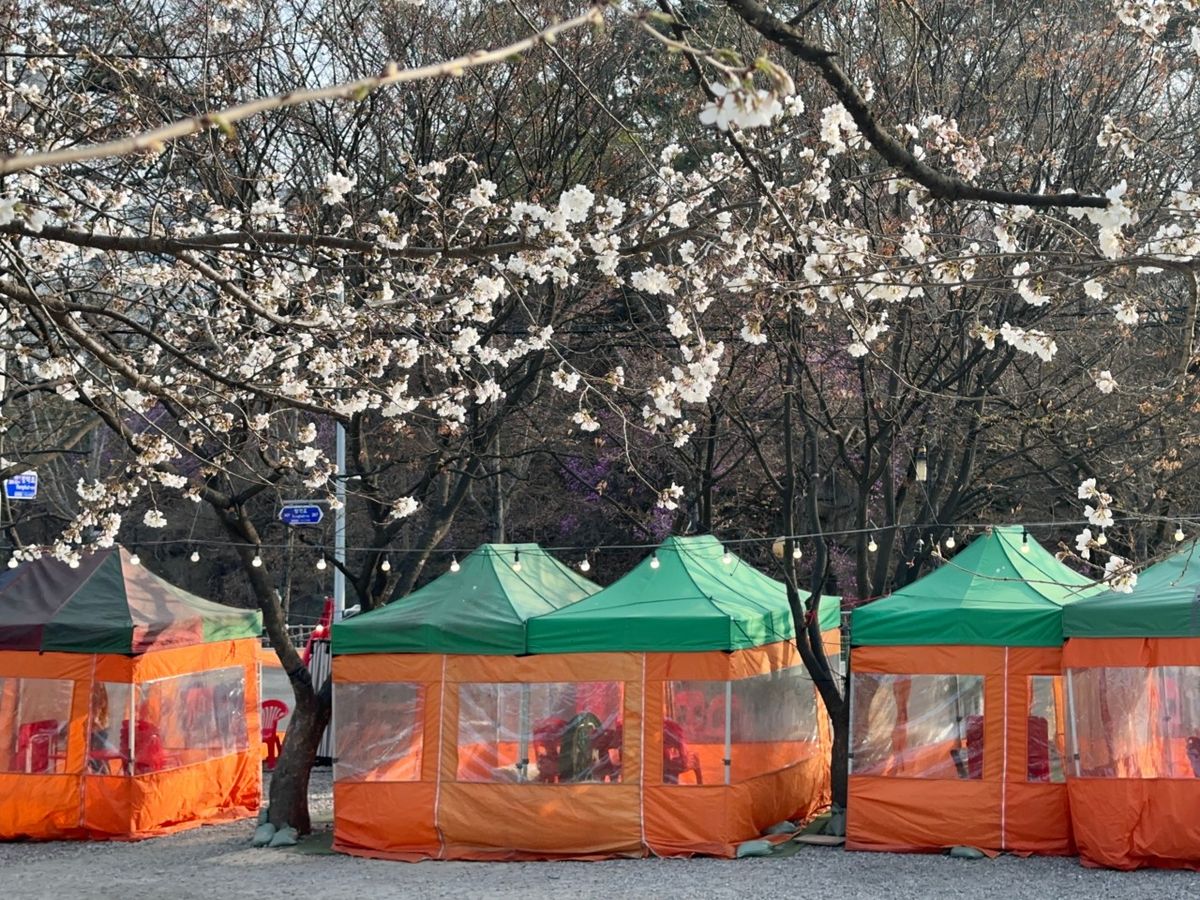 가든포차