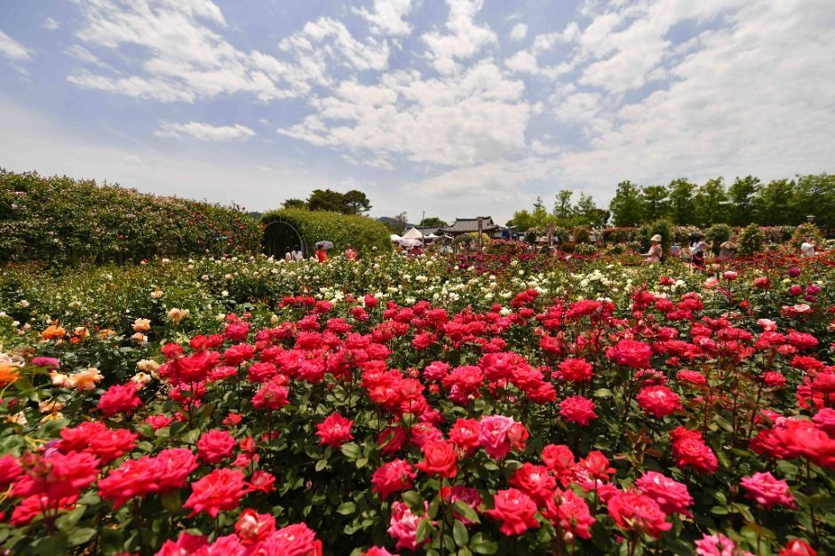 korean.visitkorea.or.kr