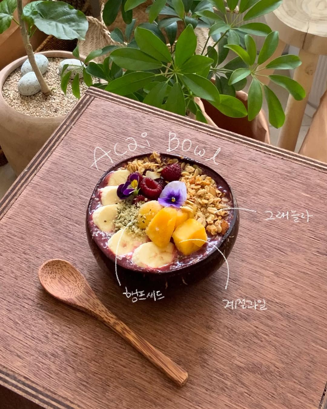 인스타그램 @organichard_