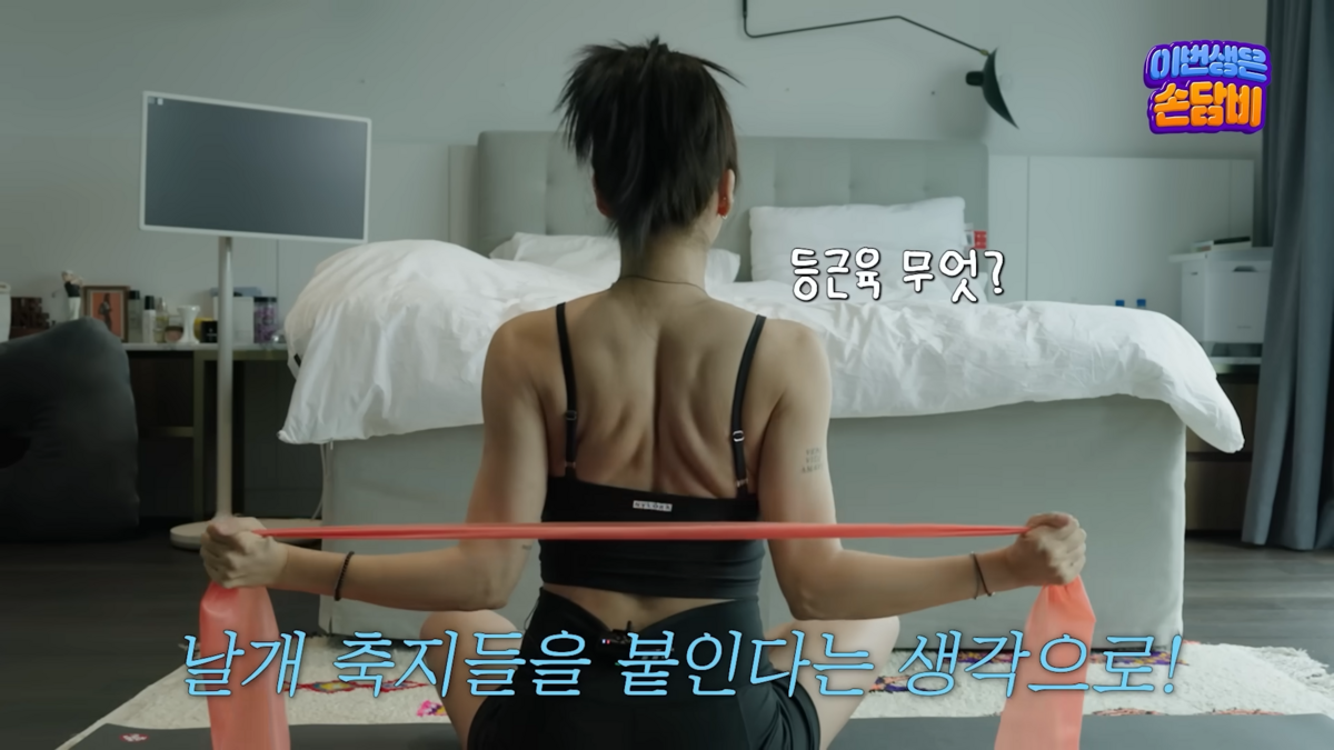 유튜브 <담비손 DambiXon>