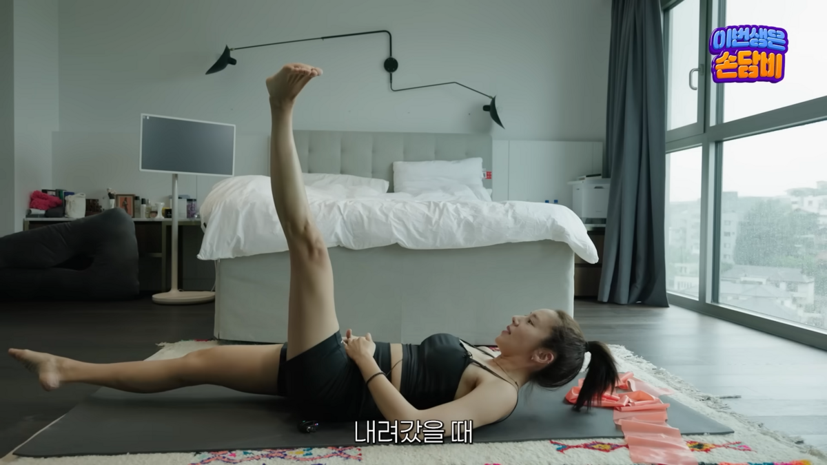 유튜브 <담비손 DambiXon>
