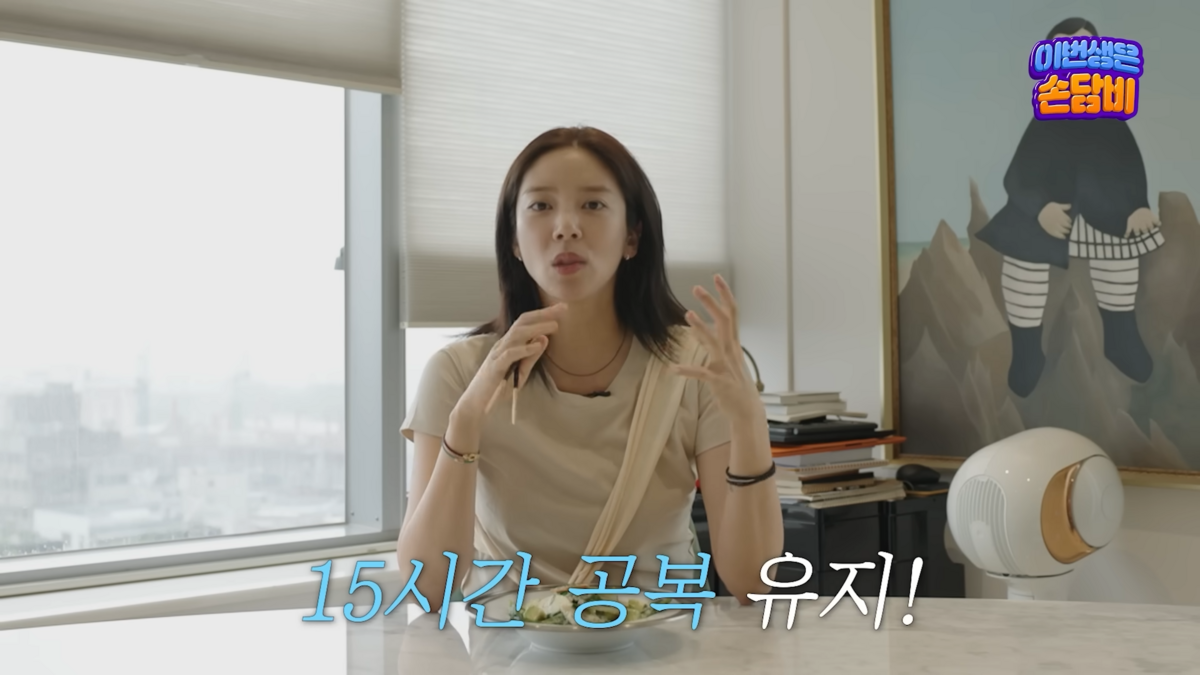 유튜브 <담비손 DambiXon>