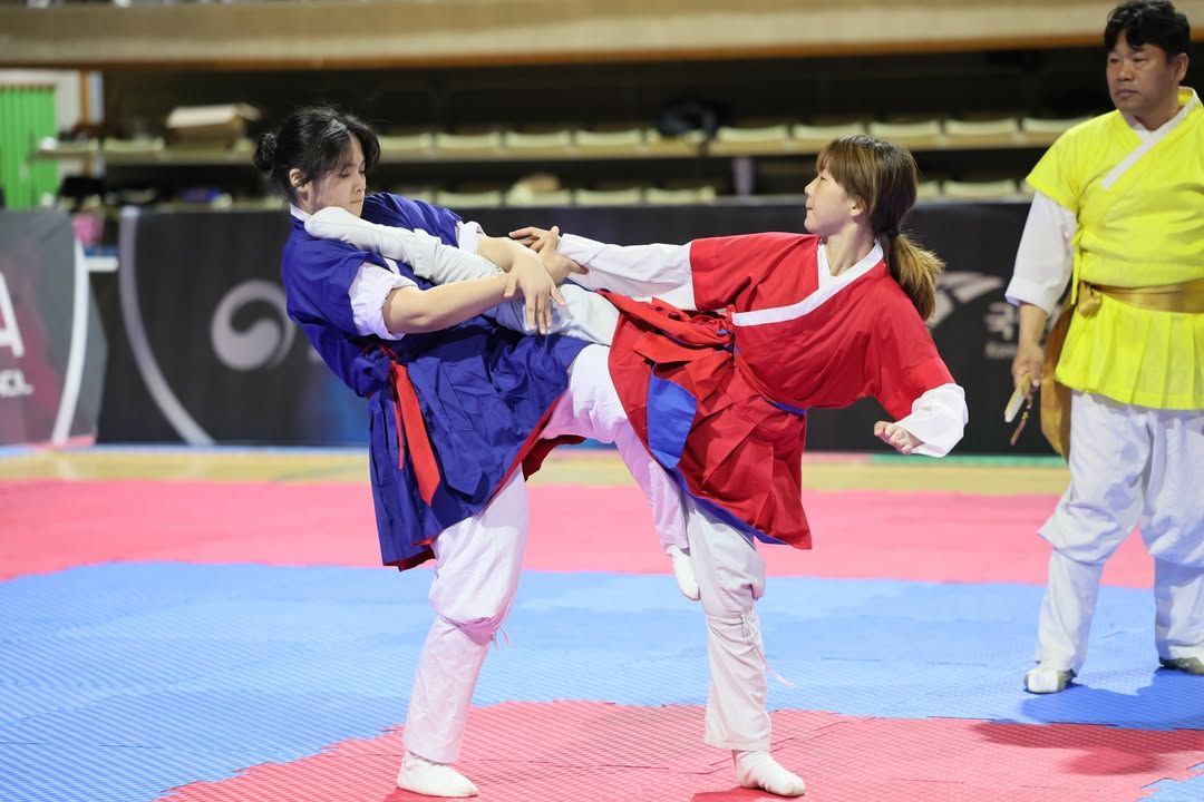 택견 @taekkyon