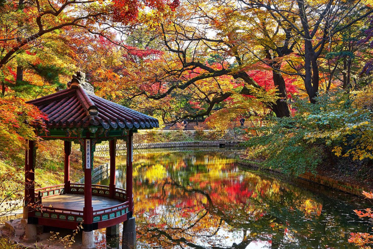 창덕궁 추석 무료 개방 | ⓒ한국관광공사 포토코리아-이정규