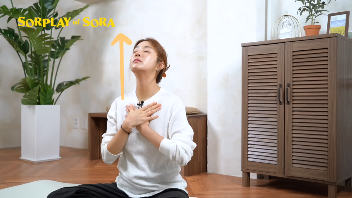 거북목 교정 기본 동작. 유튜브 소라의 솔플레이 