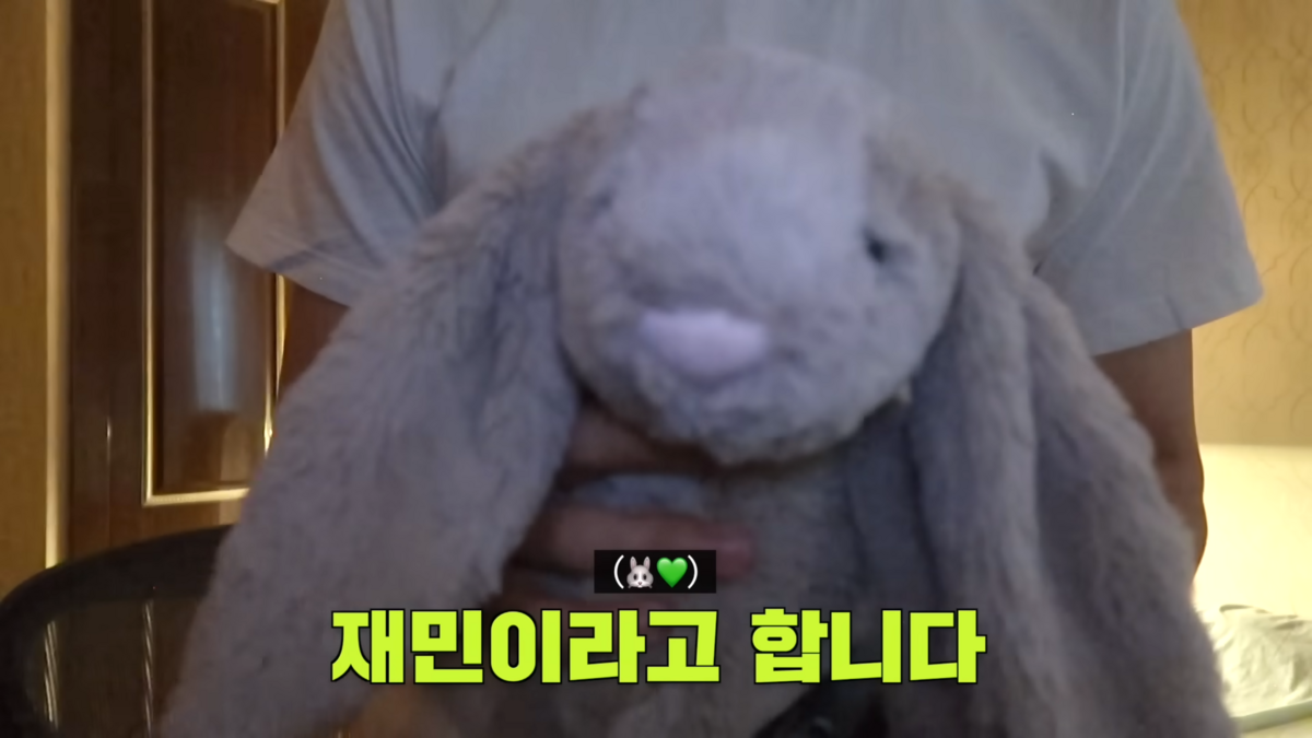 재민 젤리캣 바쉬풀 버니 인형 | 출처 NCT 유튜브