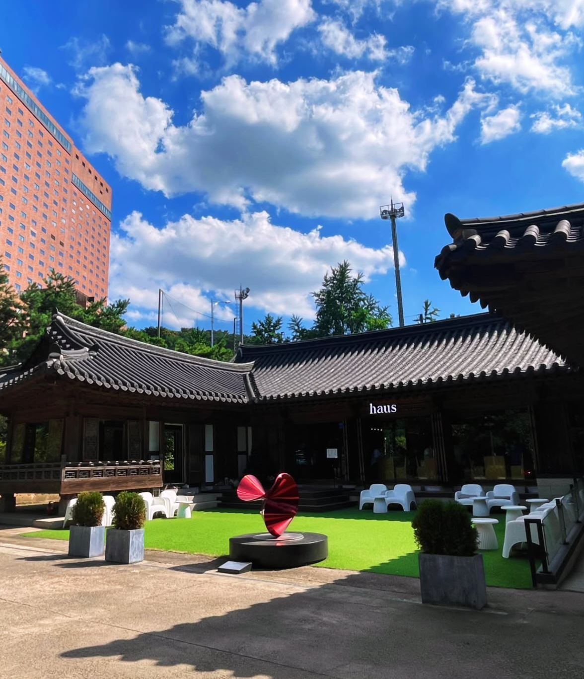 하우스 커피 앤 디저트 내부와 홍시요거트. 네이버지도 하우스 커피 앤 디저트 업체 등록 사진