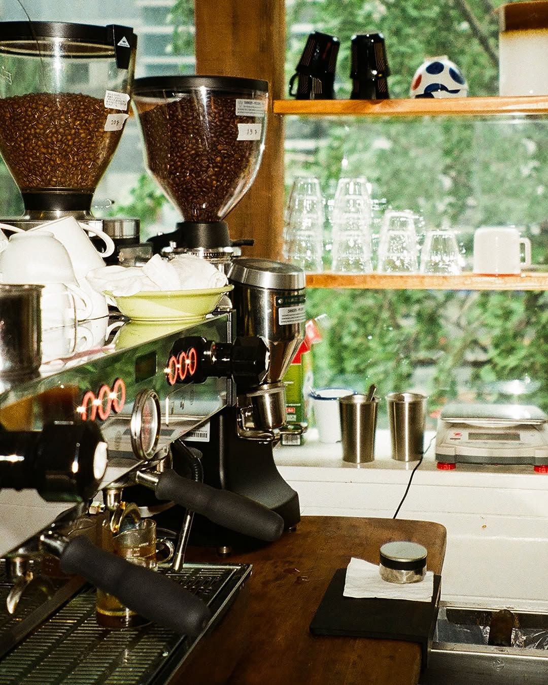 하우스오브와일드 내부. 인스타그램 @openyourmindandgowild