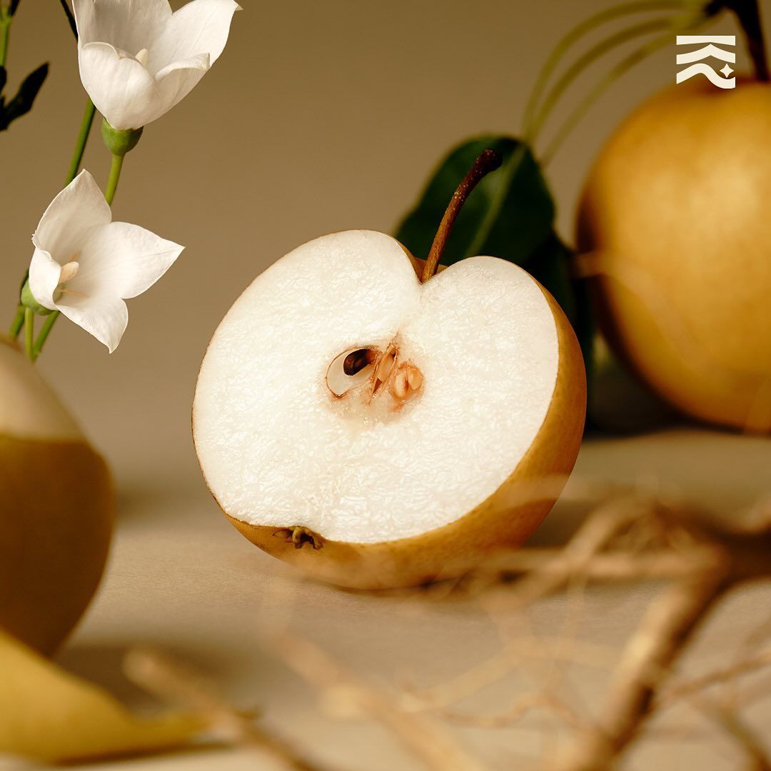 지리산 별마루 배도라지청 | 출처 인스타그램 @jirisan.byeolmaru.official