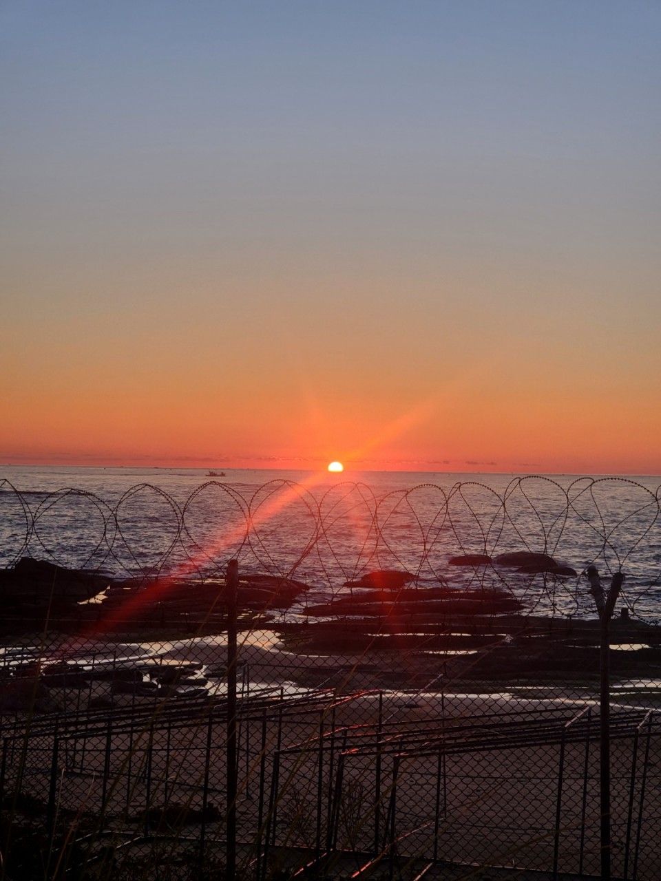 강원도 고성 아야진 해변에서 일출을 가장 가까이서 볼 수 있는 스위밍 터틀. 사진 네이버 지도 스위밍 터틀 업체 등록 사진