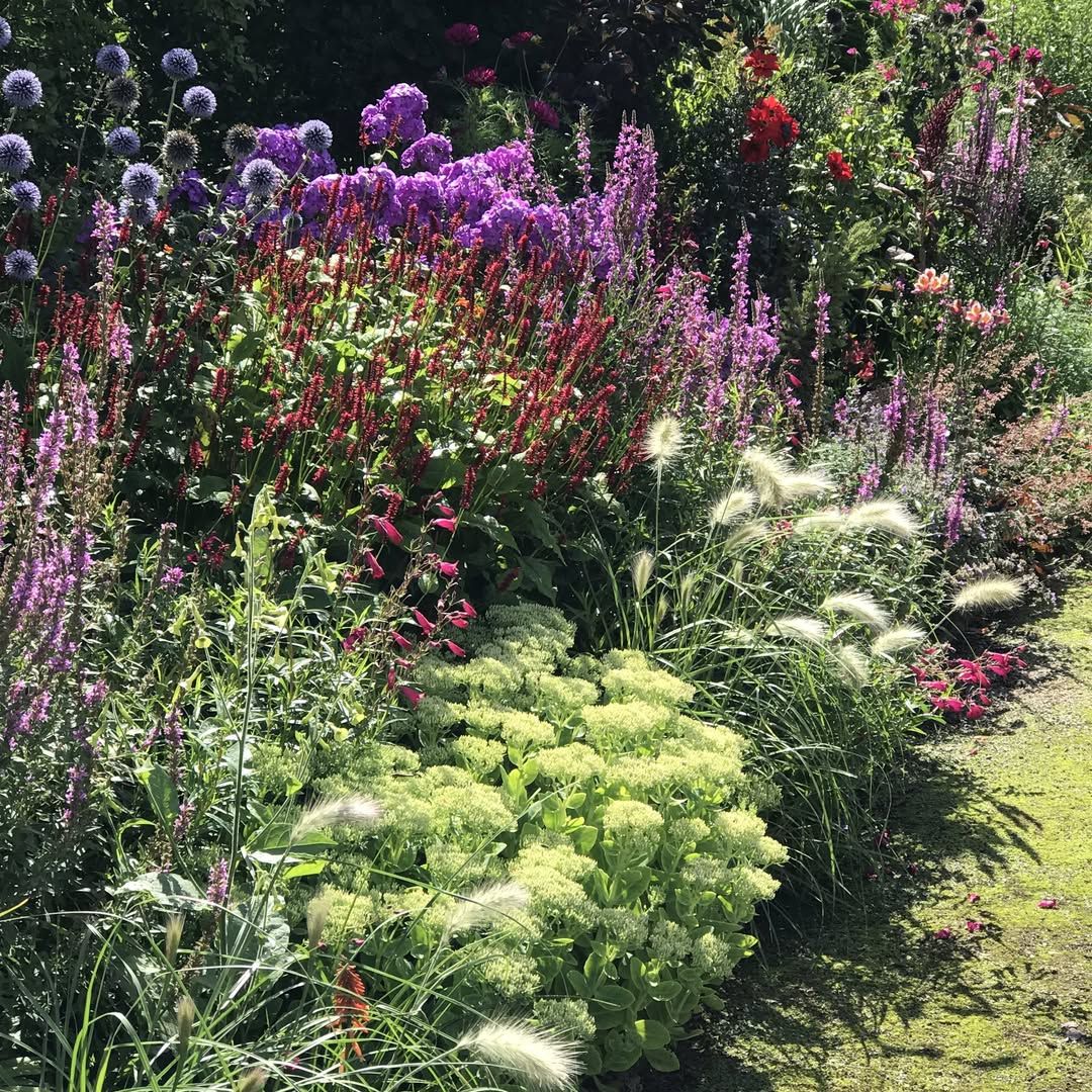 드리스 반 노튼 | 인스타그램 @driesvannoten