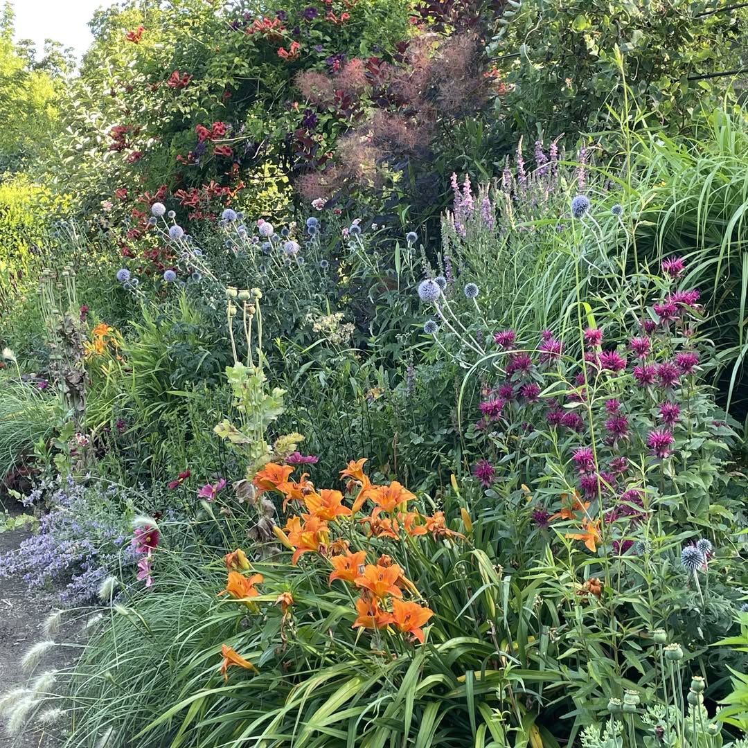 드리스 반 노튼 | 인스타그램 @driesvannoten