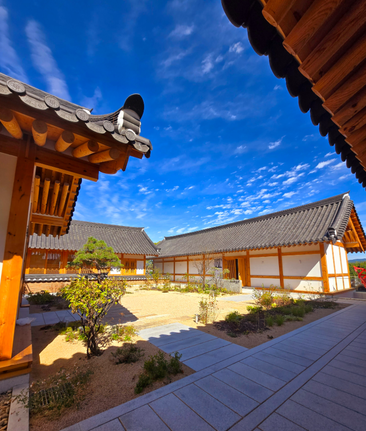 대추밭백한의원 | 출처 대추밭백한의원 홈페이지