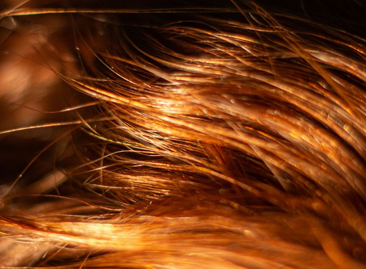 자기관리 영양제 (출처 : unsplash.com)