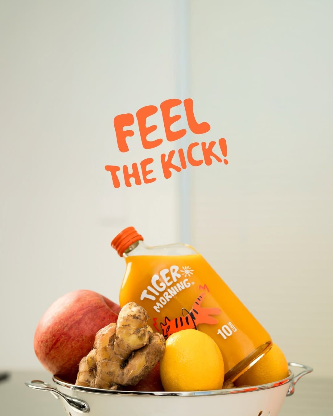 250mlx3병 5만8천8백원