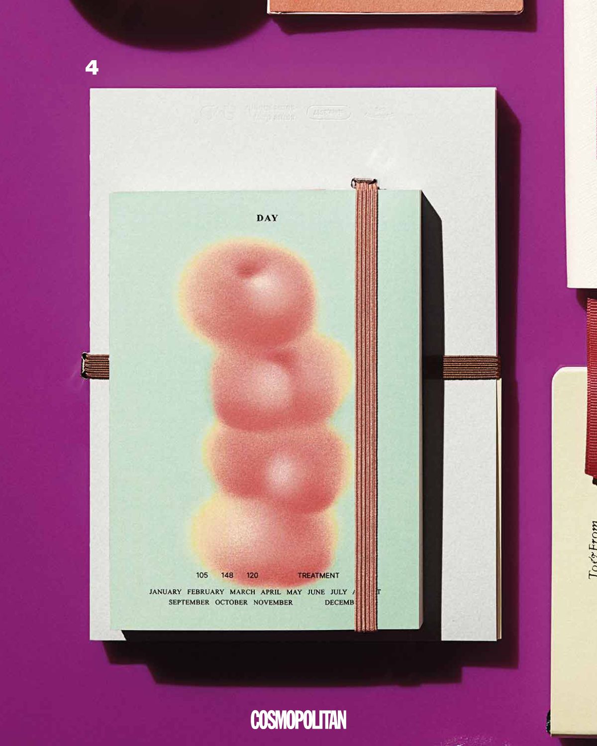  4 납작복숭아 일러스트가 포인트인 먼슬리 다이어리와 언제든 다시 시작할 수 있는 만년 다이어리 모두 Somemood Design. 