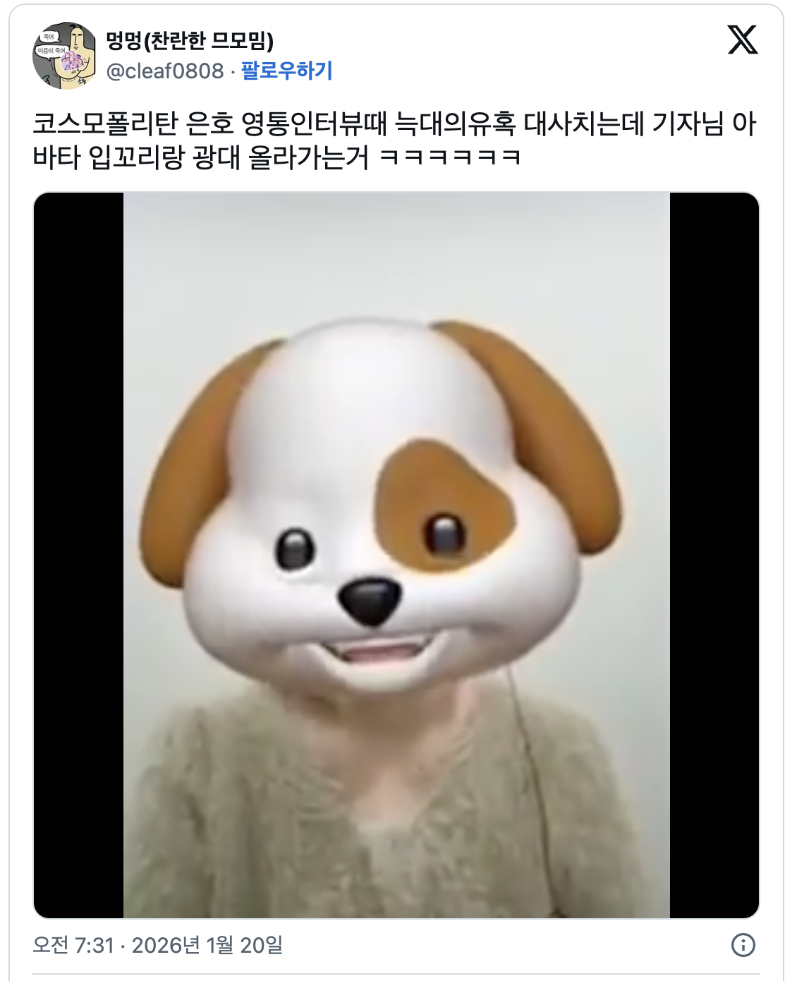 플리들의 사랑스러운 댓글 모음. SNS 및 커뮤니티 갈무리