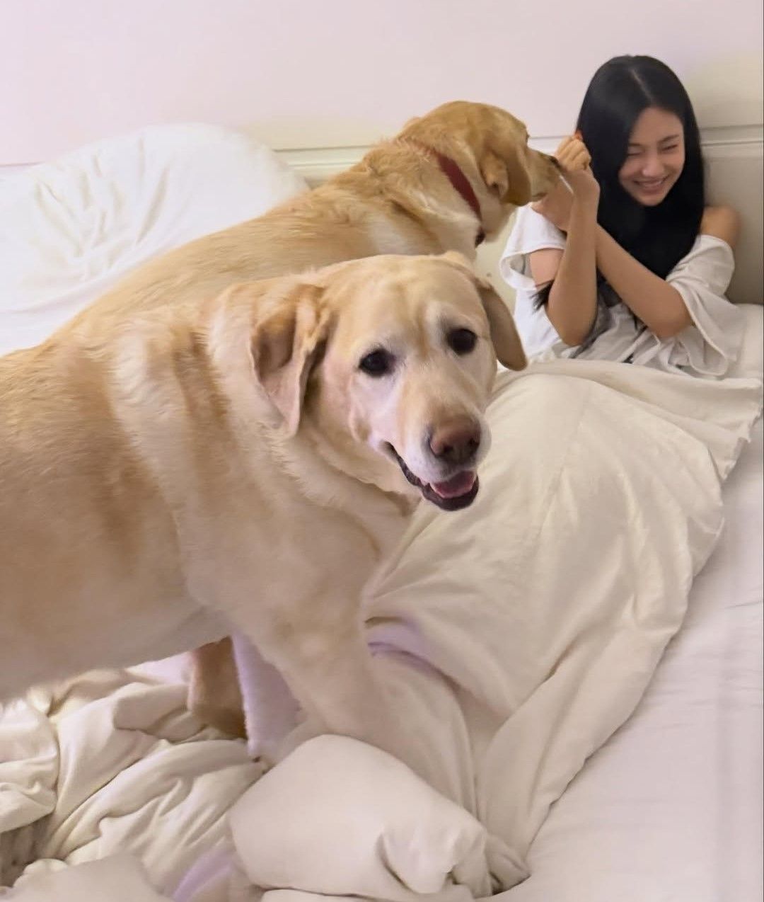 인스타그램 @imnotningning