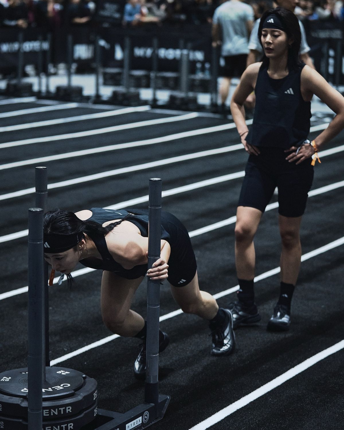 하이록스 | 인스타그램 @itshyelee