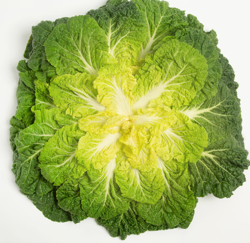 봄동 | 출처 바르게 잘키운 먹거리 스토어