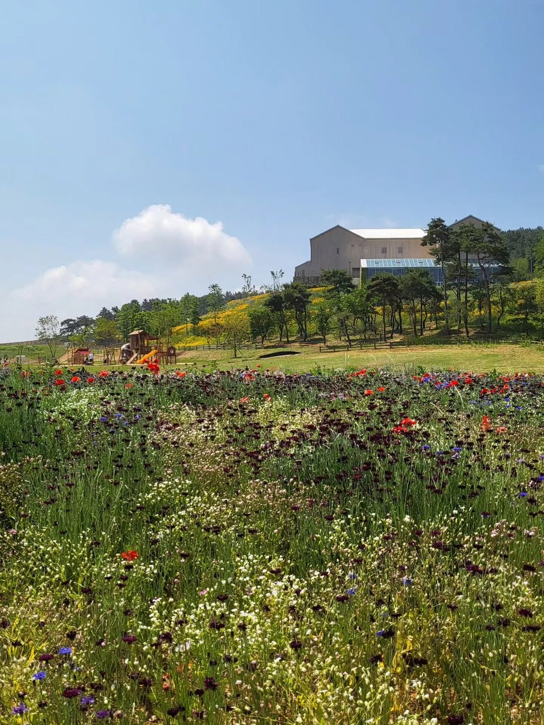 상하농원 파머스 빌리지 | 인스타그램 @sanghafarm