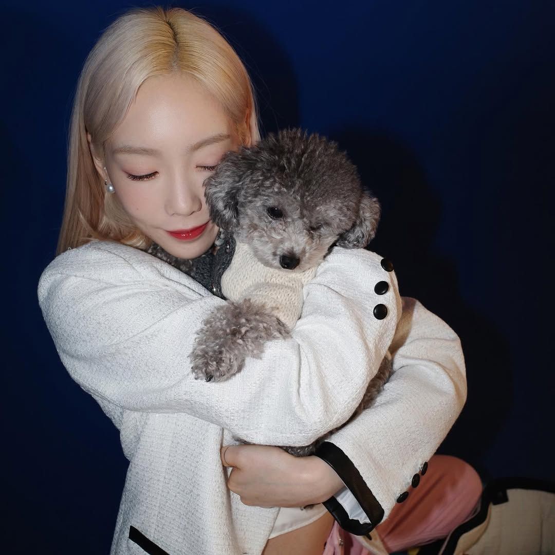 태연 반려견, 제로 | 인스타그램 @zero.taeyeon