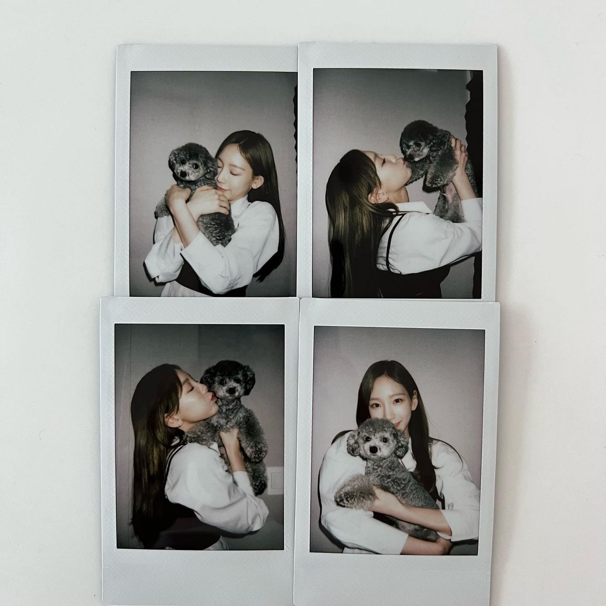 태연 반려견, 제로 | 인스타그램 @zero.taeyeon