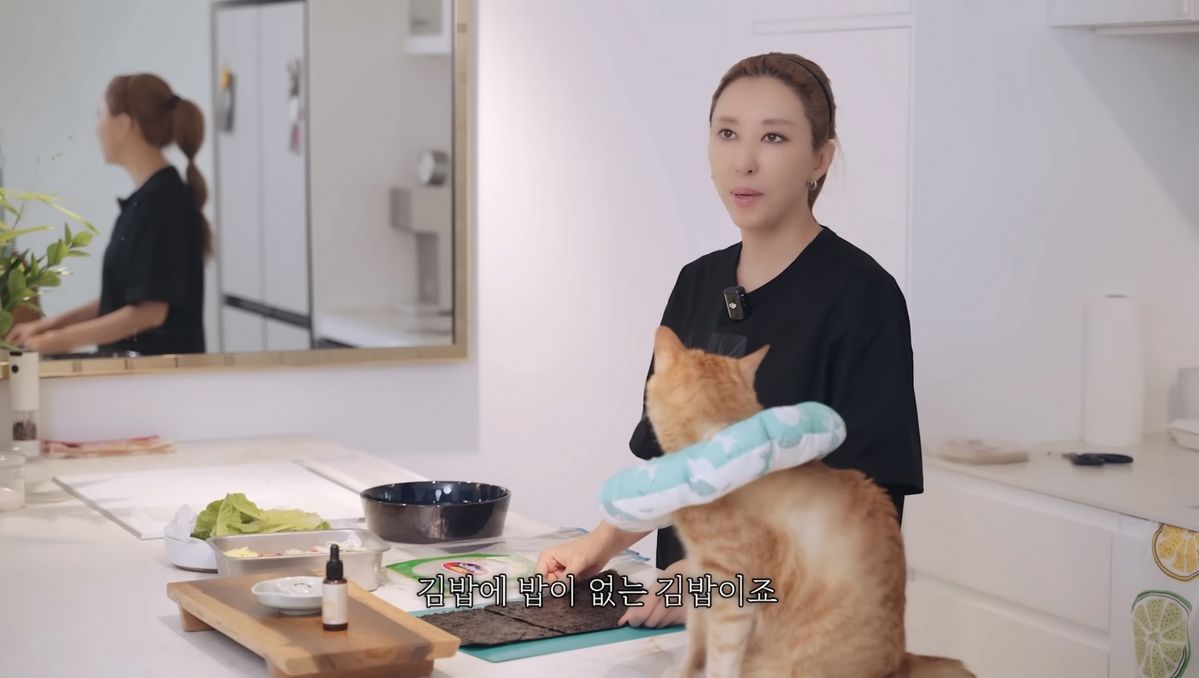 유튜브 <김완선 TV>