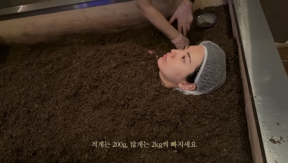 유튜브 <NA( )NA>
