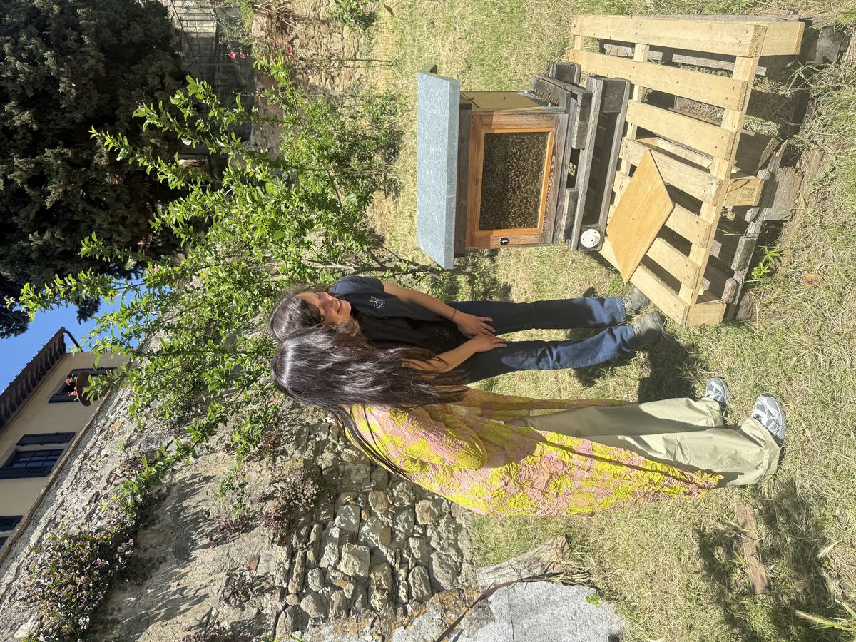 양봉 체험 도전?! 조그마한 벌집 안에 6만 마리의 벌이 산다. 