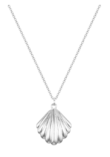 Shell necklace