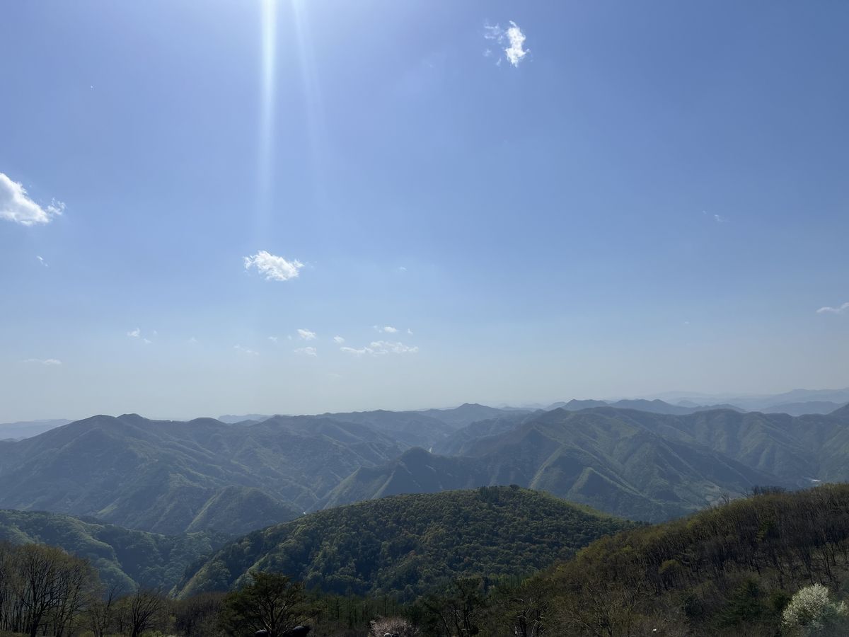 에디터가 직접 촬영한 민둥산 전경